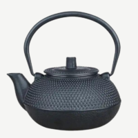 Cast Iron Teapot with Infuser